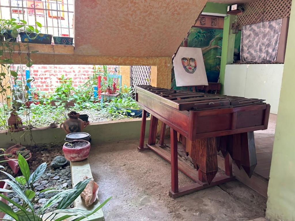 Hotel El Delfin Lívingston المظهر الخارجي الصورة