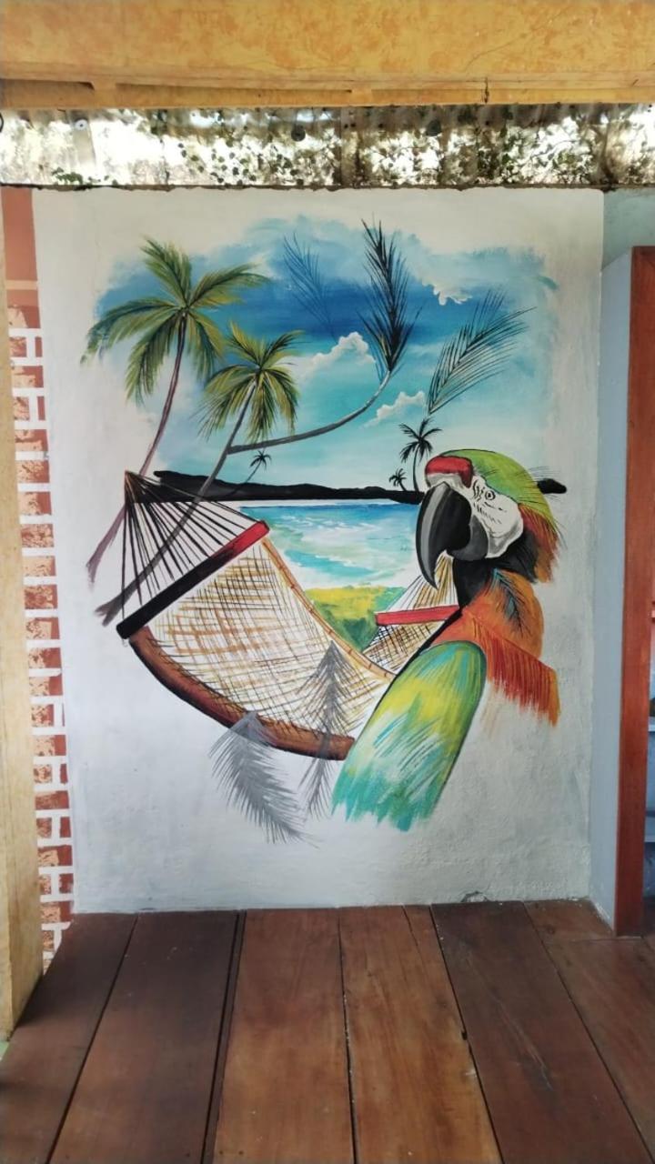 Hotel El Delfin Lívingston المظهر الخارجي الصورة