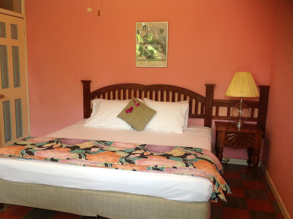 Hotel El Delfin Lívingston المظهر الخارجي الصورة
