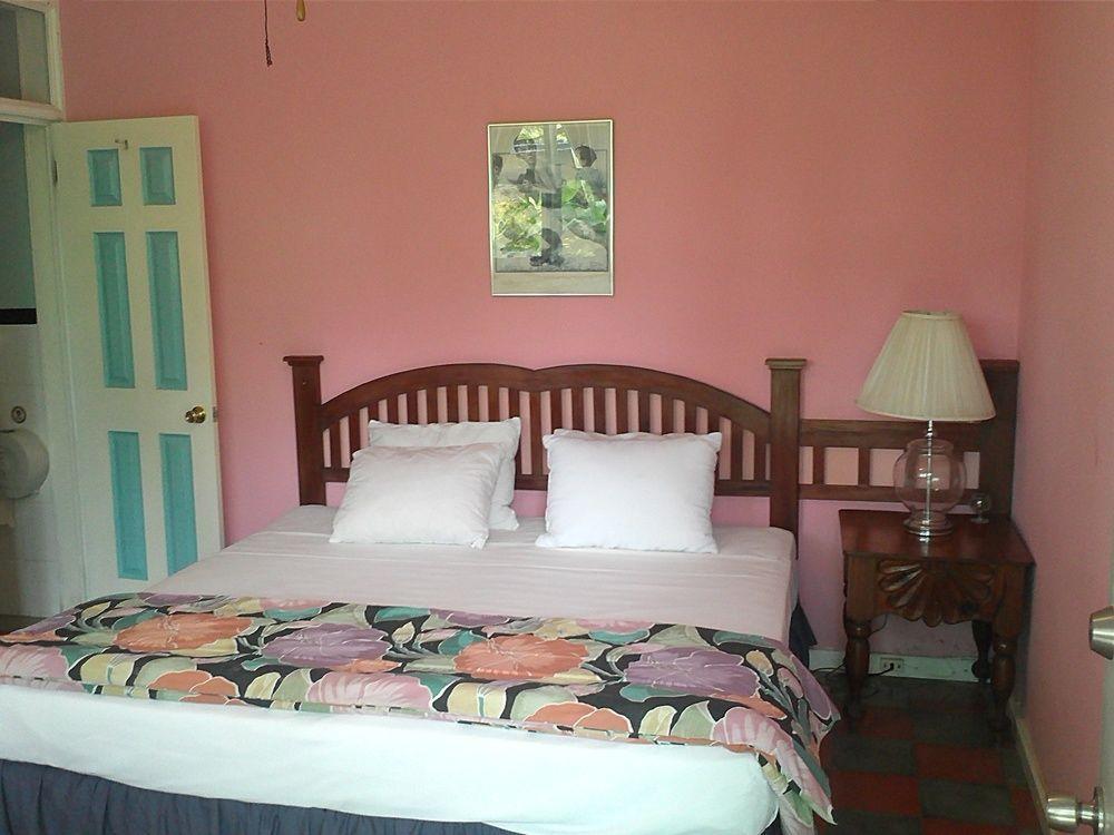 Hotel El Delfin Lívingston المظهر الخارجي الصورة