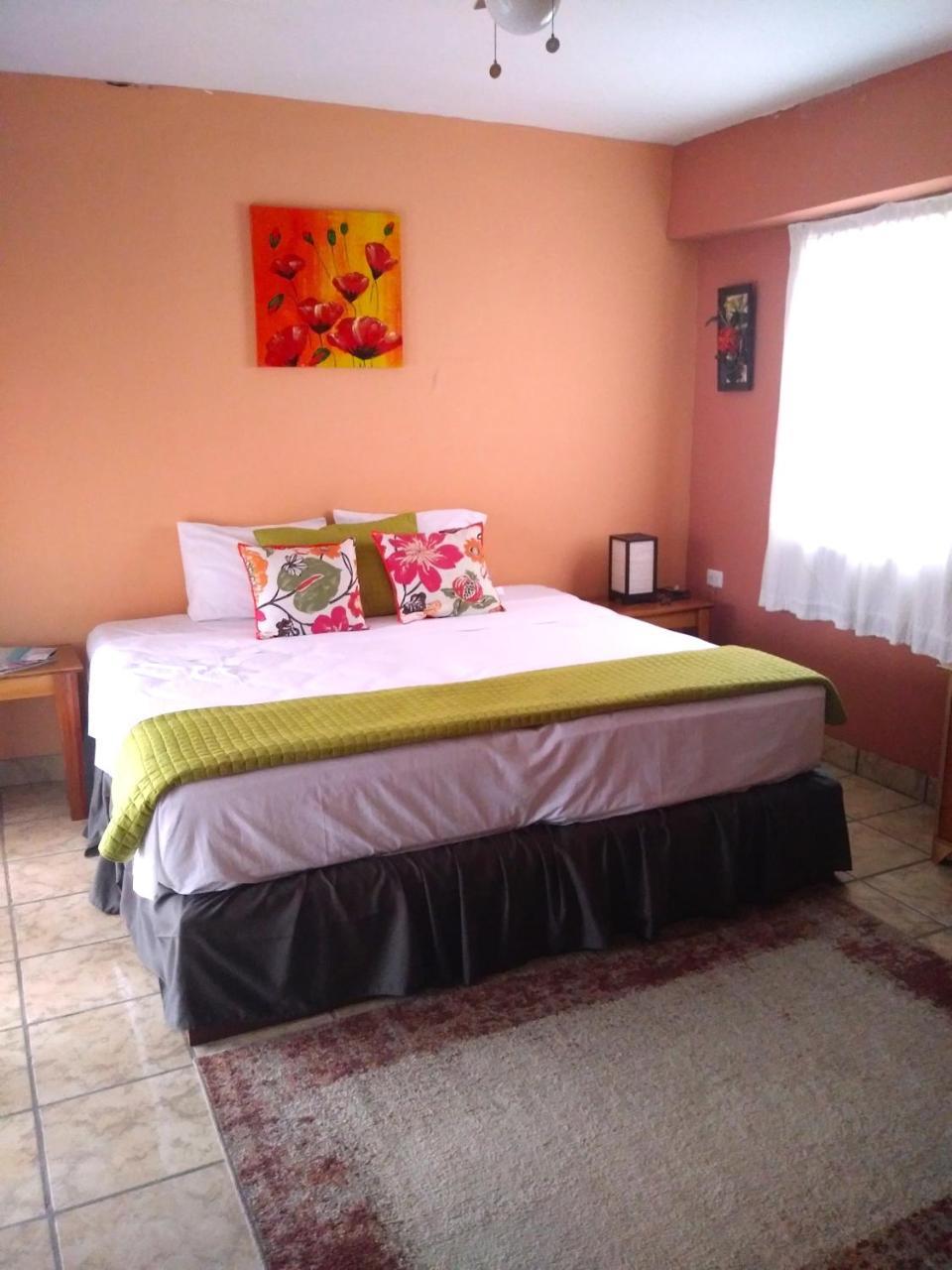 Hotel El Delfin Lívingston المظهر الخارجي الصورة