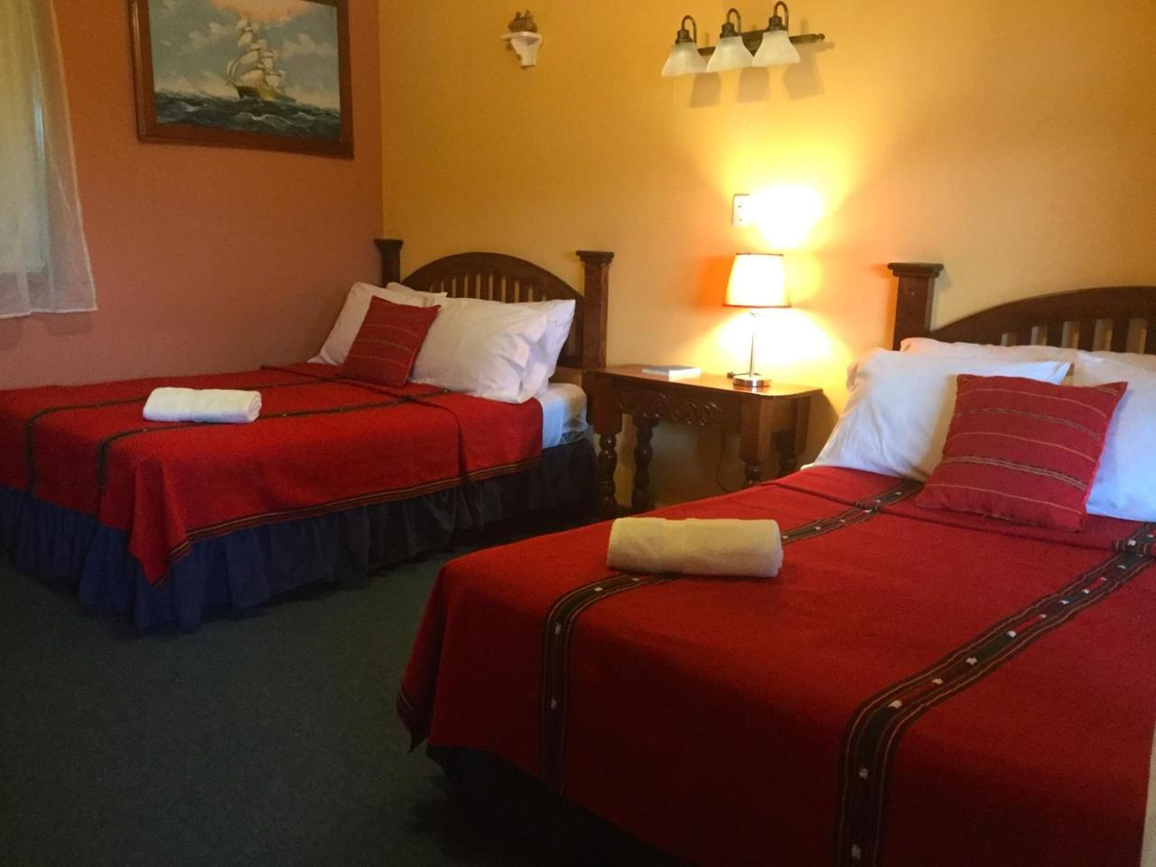 Hotel El Delfin Lívingston المظهر الخارجي الصورة